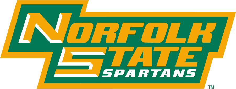 Norfolk State Spartans 1999-Pres Wordmark Logo v2 DIY iron on transfer (heat transfer)